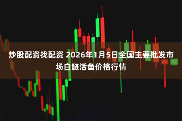 炒股配资找配资 2026年1月5日全国主要批发市场白鲢活鱼价格行情